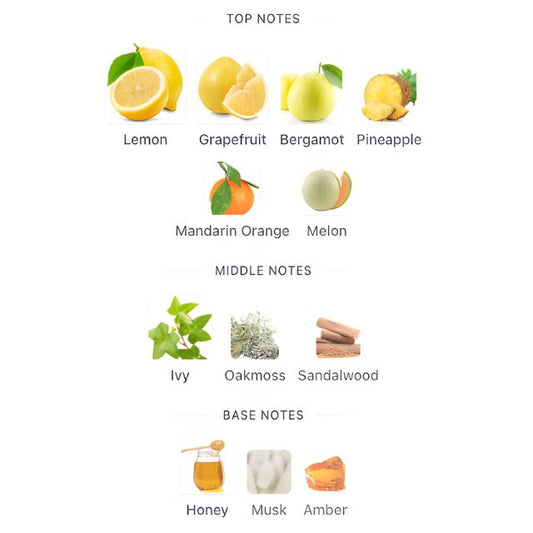 Burberry WEEKEND EDT (Men)