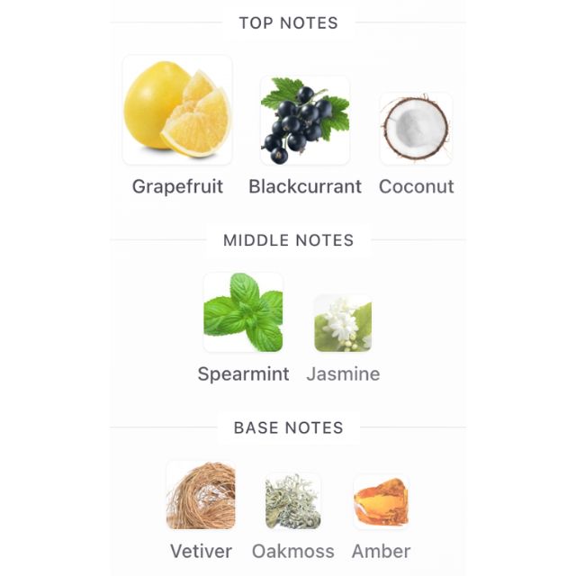 French Avenue SAFARI BREEZE