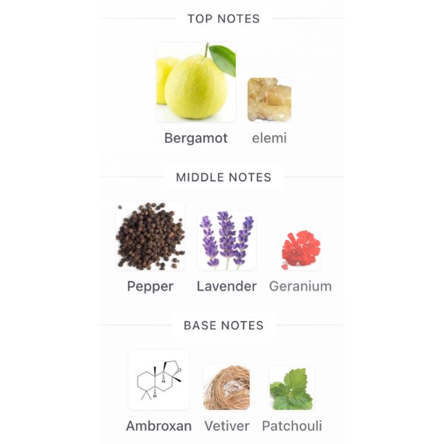 French Avenue ZENITH BLUE EDP