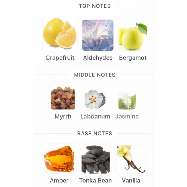 French Avenue OBSIDIAN