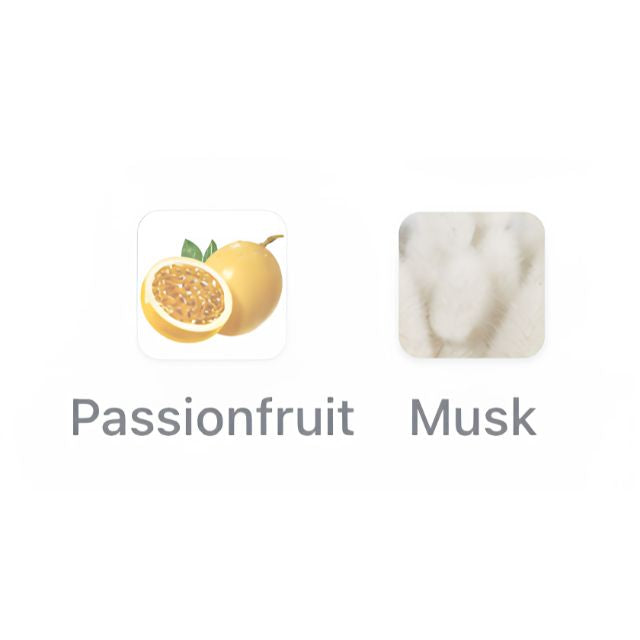 Reef PURE MUSK