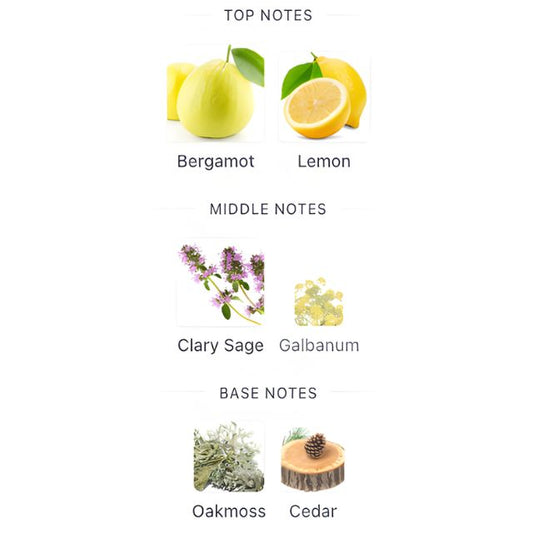 Davidoff CHAMPION EDT