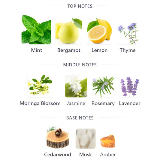 Lattafa MAAHIR HONOR EDP