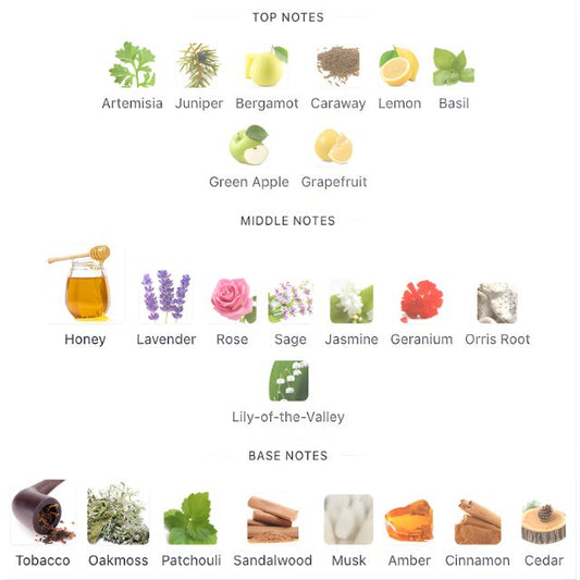 Hugo BOSS NUMBER ONE EDT