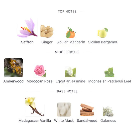 Mancera INSTANT CRUSH