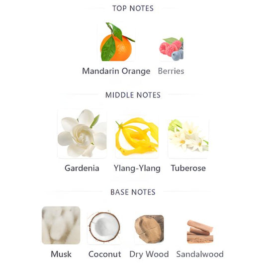 Afnan LYNKED FOREVER Tester