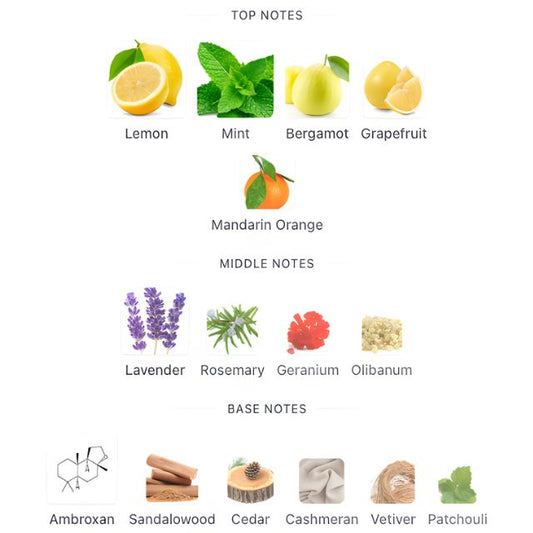 Parfums de Marly SEDLEY