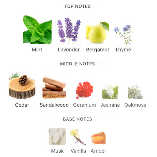 Burberry FOR MEN EDT