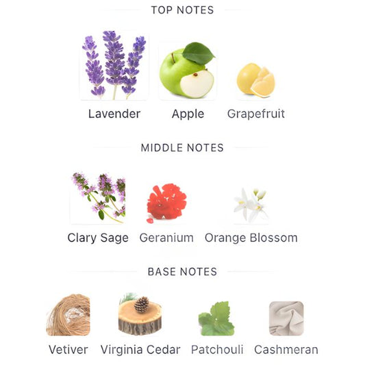 Ralph Lauren RALPH'S CLUB PARFUM