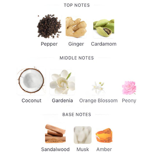 Versace CRYSTAL NOIR EDP