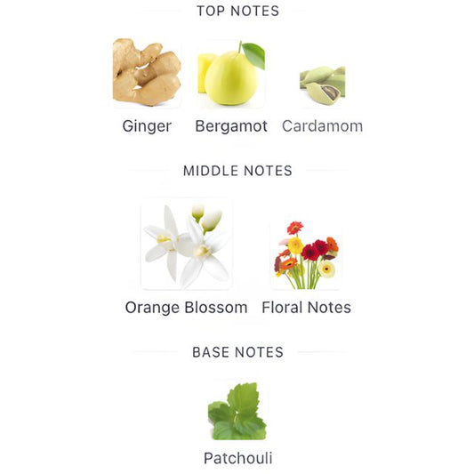 YSL MYSLF L'ABSOLU PARFUM