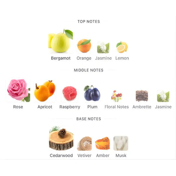 Mykonos MONACO ROYALE Flash Sale