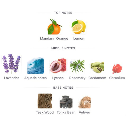 Mykonos CALIFORNIA SIGNATURE