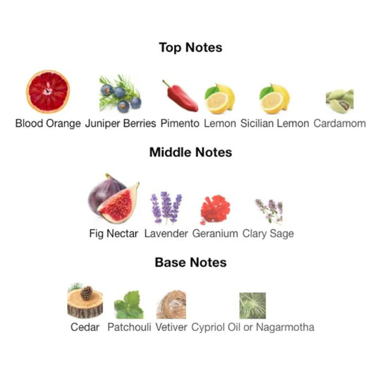 Dolce & Gabbana K EDP Tester