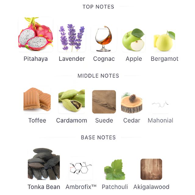 Afnan 9PM NIGHT OUT Tester