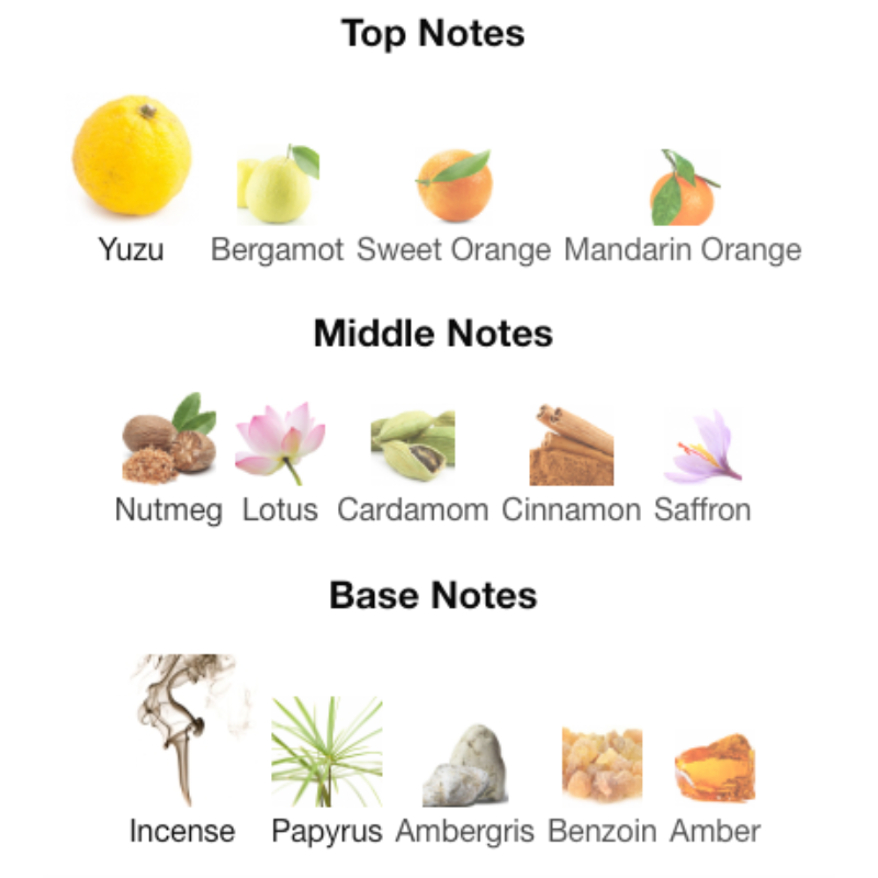 Issey Miyake L'EAU D'ISSEY POUR HOMME INTENSE