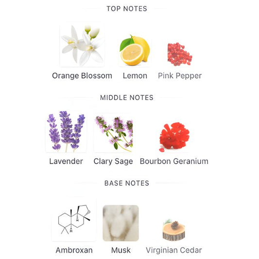 Versace MAN EAU FRAICHE EXTREME