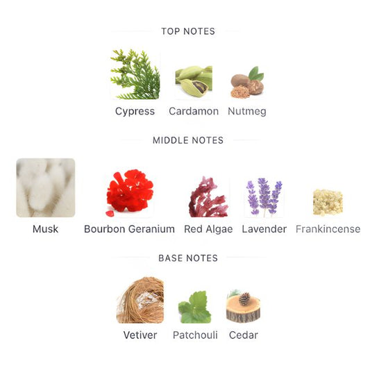 Narciso Rodriguez VETIVER MUSC EDT