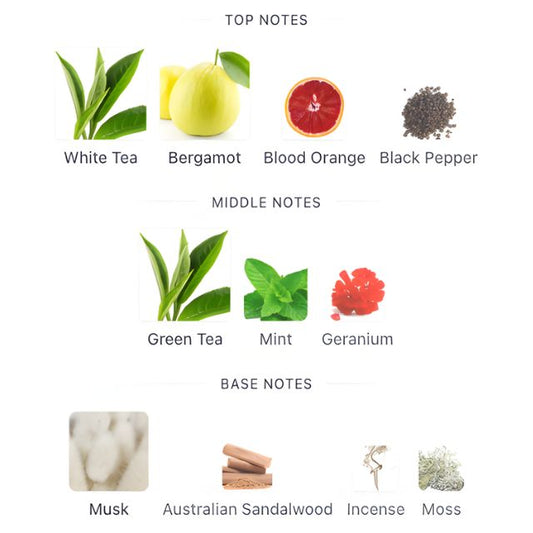 Calvin Klein CK ONE ESSENCE Parfum Intense