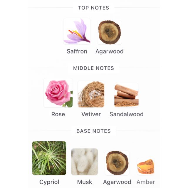 Ahmed Al Maghribi RAWDHA