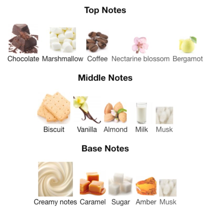 Zimaya TIRAMISU S'MORES