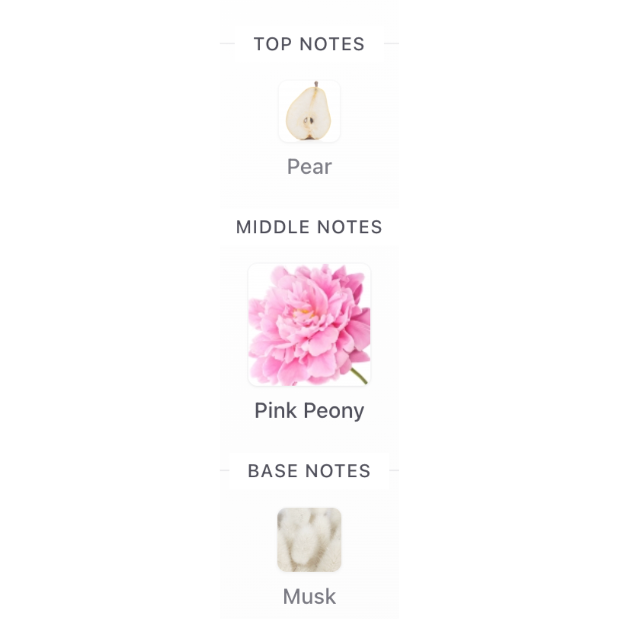 Davidoff COOL WATER SEA ROSE EDT Tester