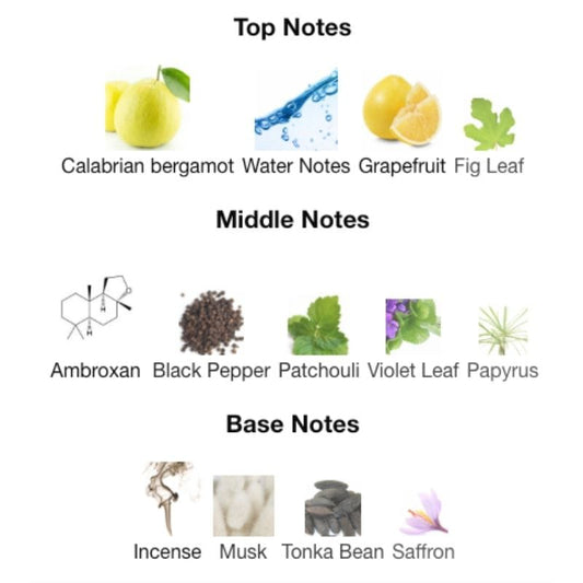 Versace Dylan Blue Tester