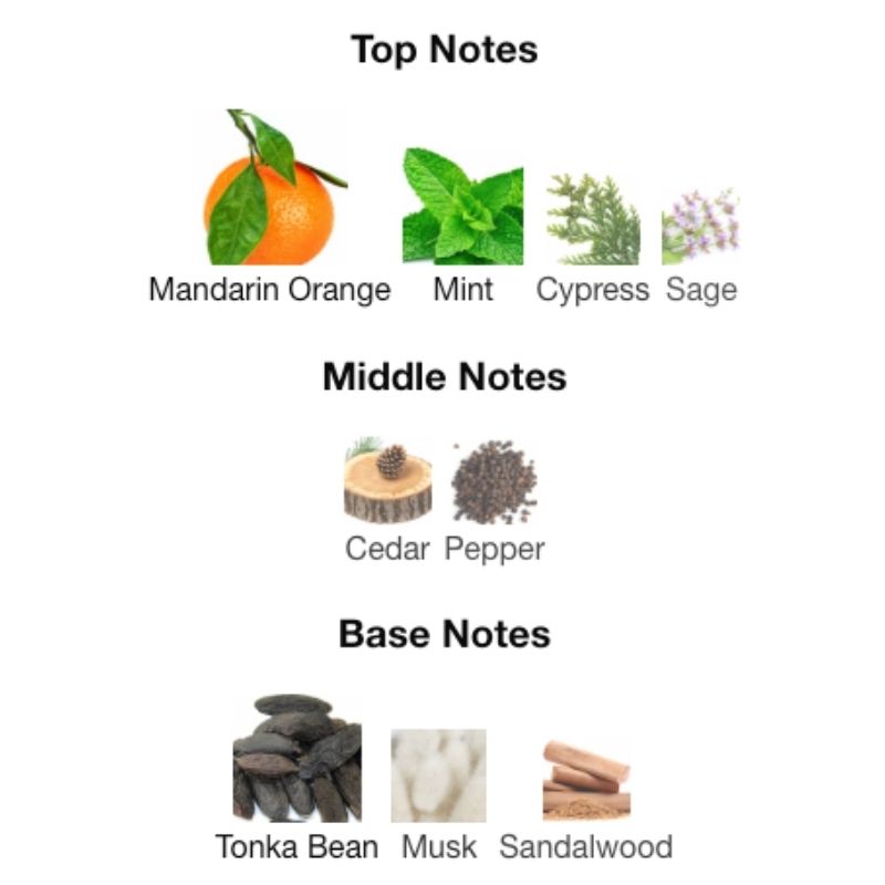 Maison Alhambra ALPINE HOMME SPORT