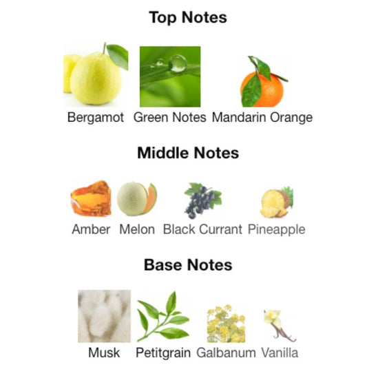 Al Haramain AQUA DUBAI