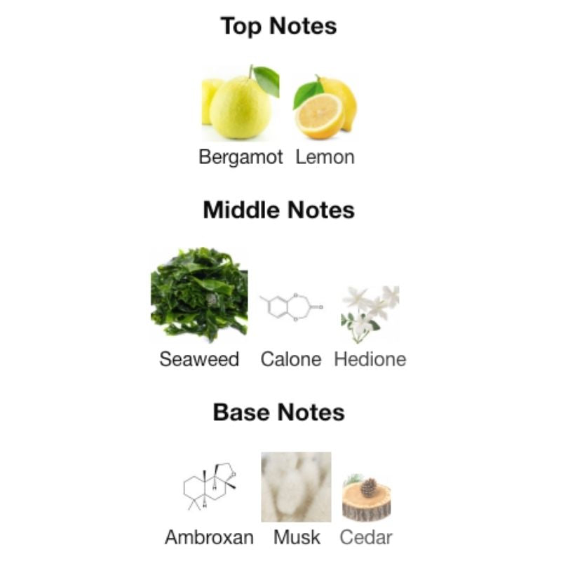 Fragrance World AQUA PURA