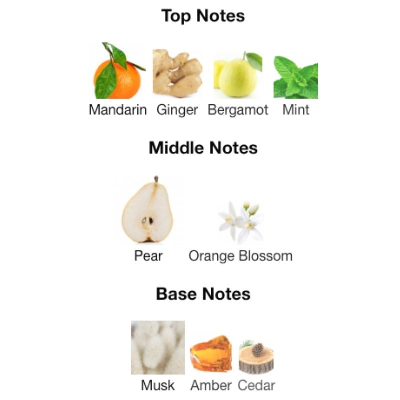 Lattafa ART OF UNIVERSE