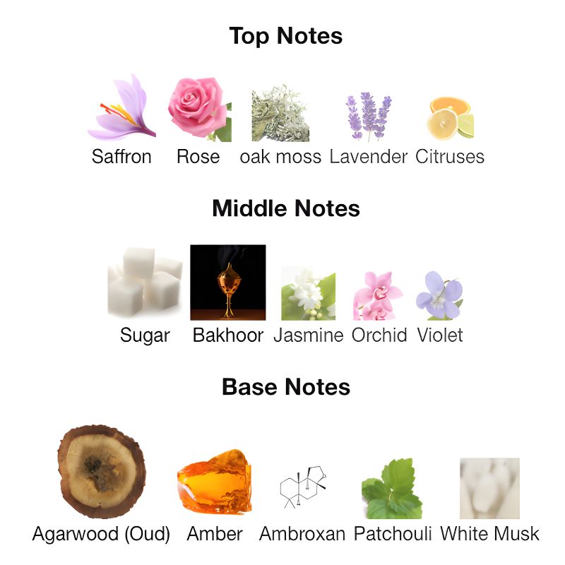 Ahmed Al Maghribi BIN SHEIKH