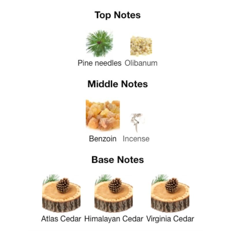 Burberry HERO EDP - WHIFF CULTURE