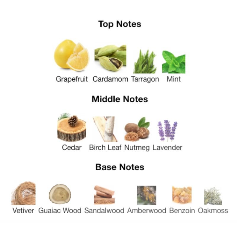 Burberry MR. BURBERRY EDP - WHIFF CULTURE