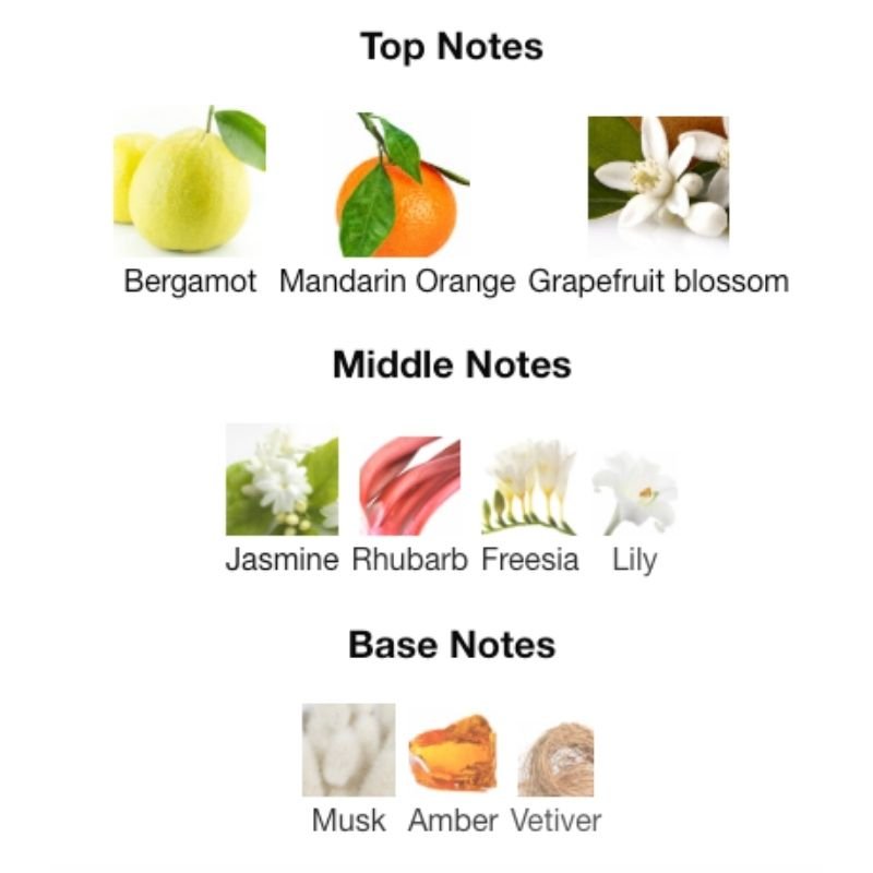 Calvin Klein ALL - WHIFF CULTURE