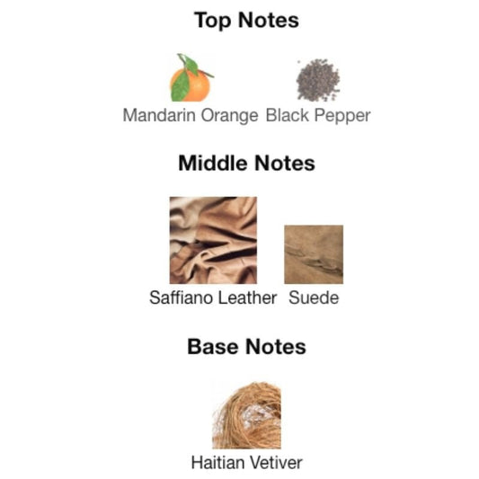 Calvin Klein DEFY EDT - WHIFF CULTURE