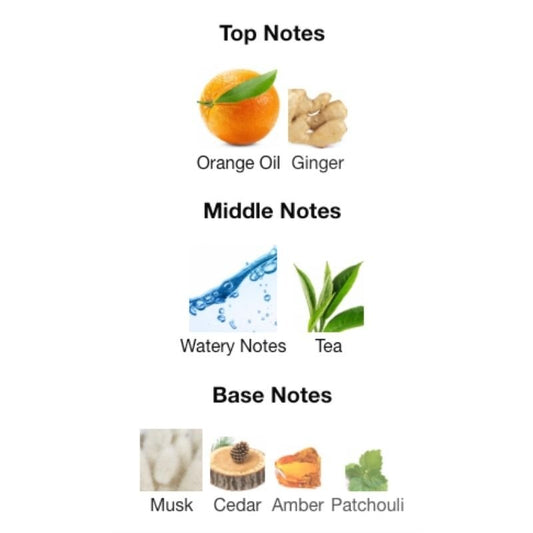 Calvin Klein EVERYONE - WHIFF CULTURE