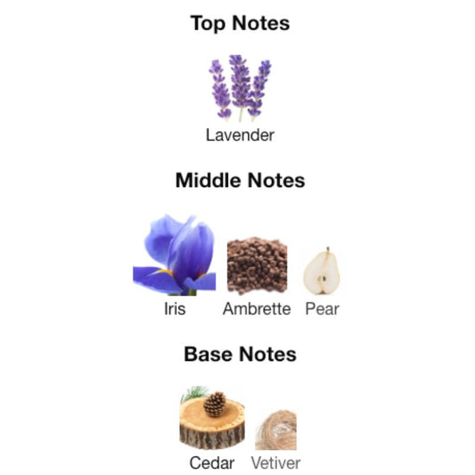 Paris Corner CAMARO HOMME INTENSE