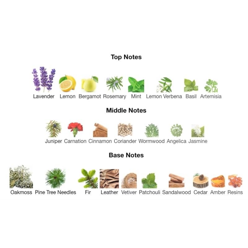 DRAKKAR NOIR EDT - WHIFF CULTURE