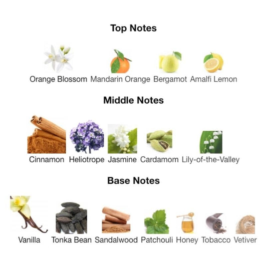 JOOP! Homme EDT - WHIFF CULTURE