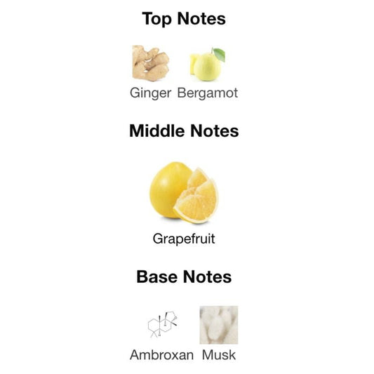 Khadlaj ISLAND DREAMS - WHIFF CULTURE