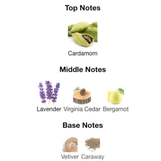 Albait Aldimashqi L'NUIT