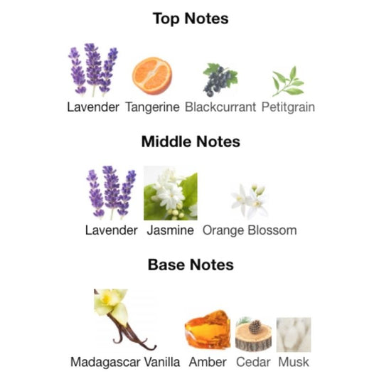 Maison Alhambra LEONIE INTENSE