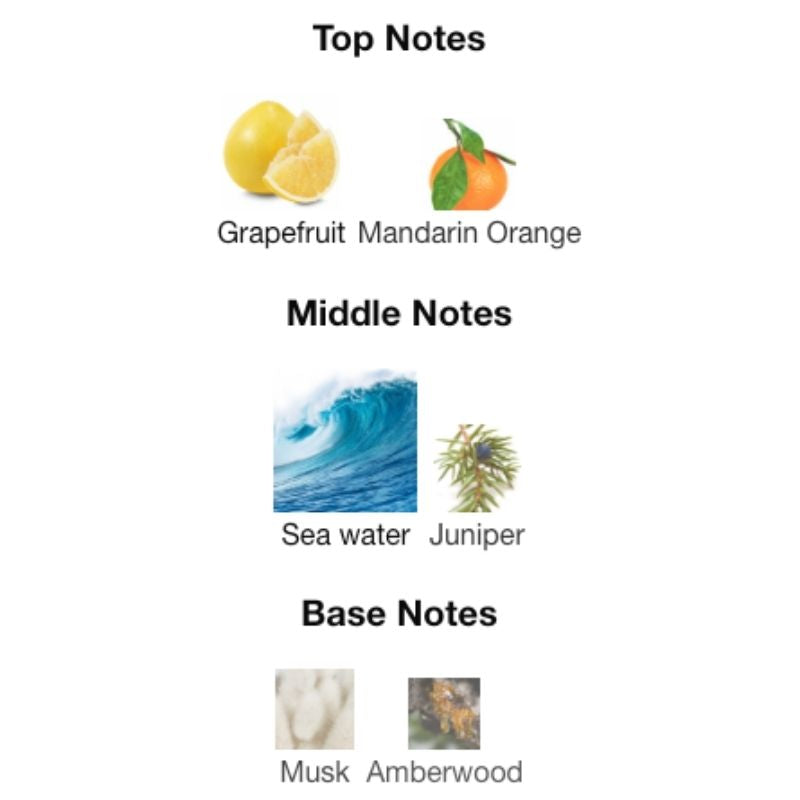 Dolce & Gabbana LIGHT BLUE EAU INTENSE