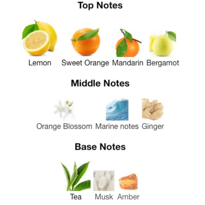 Armaf ODYSSEY LIMONI