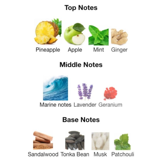 Lattafa NAJDIA INTENSE