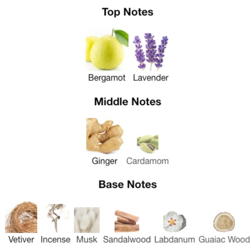 Maison Alhambra NO.2 MEN