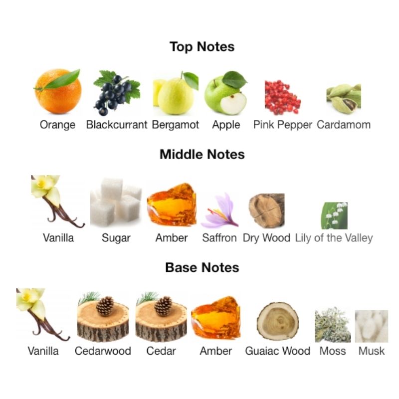 Dumont NITRO PLATINUM