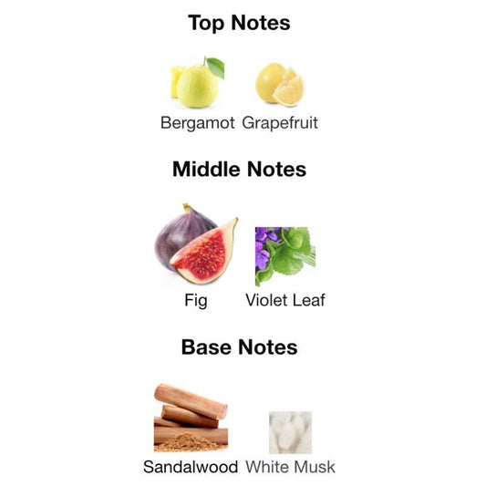 Rayhaan JUNGLE VIBE Partial - WHIFF CULTURE