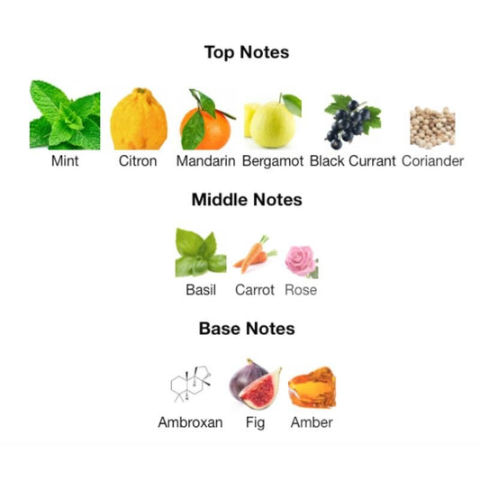 Rayhaan PACIFIC AURA - WHIFF CULTURE